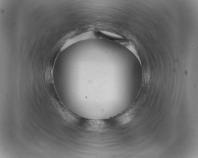 X0000081280429200701251632