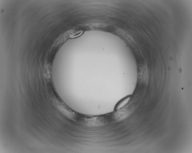 X0000081280430200701251632