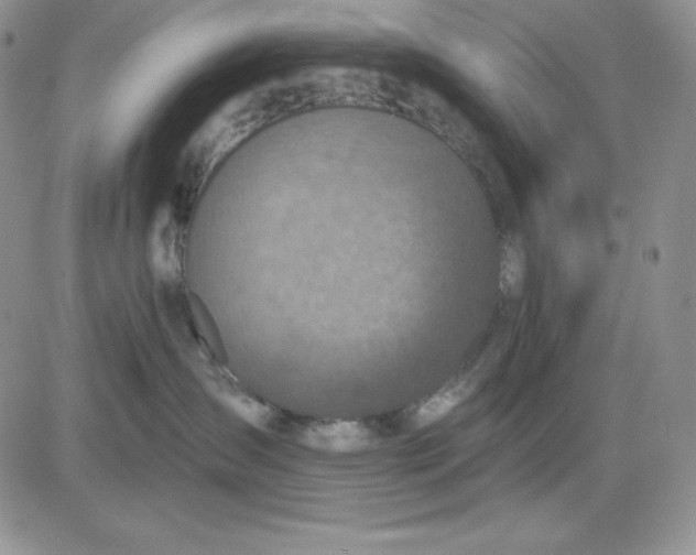 X0000081280431200701251632