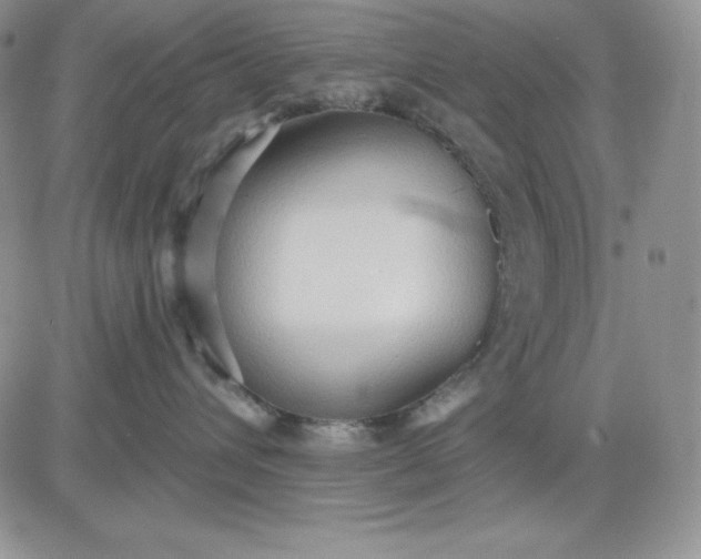 X0000081280432200701251632