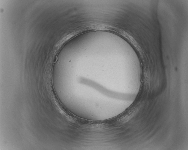 X0000081280433200701251632