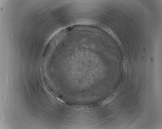 X0000081280434200701251632