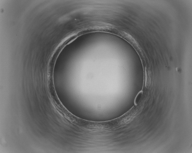 X0000081280435200701251632