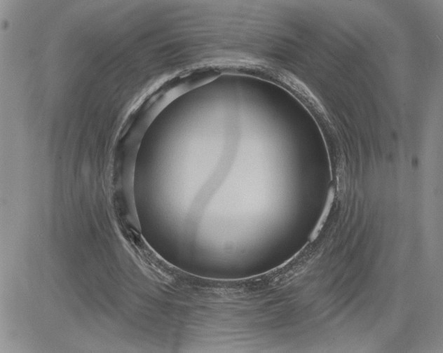 X0000081280436200701251632