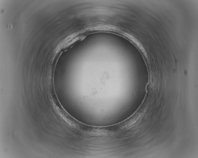 X0000081280437200701251632