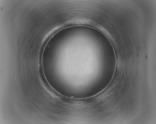 X0000081280438200701251632