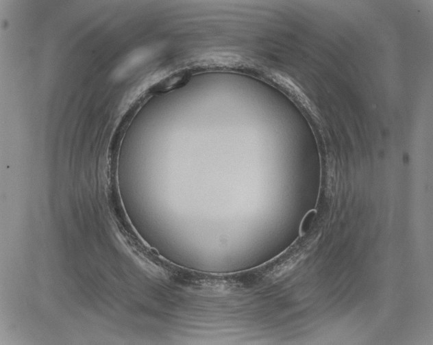 X0000081280439200701251632