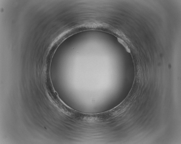 X0000081280440200701251632