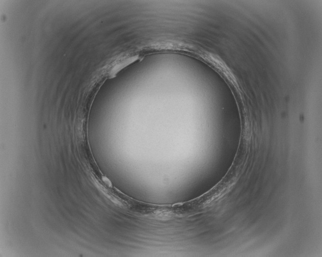 X0000081280441200701251632