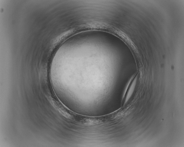 X0000081280442200701251632