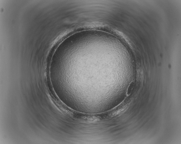 X0000081280443200701251632