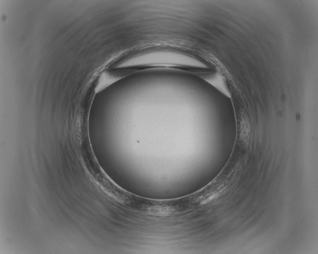 X0000081280444200701251632