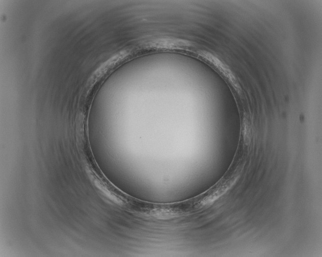 X0000081280445200701251632