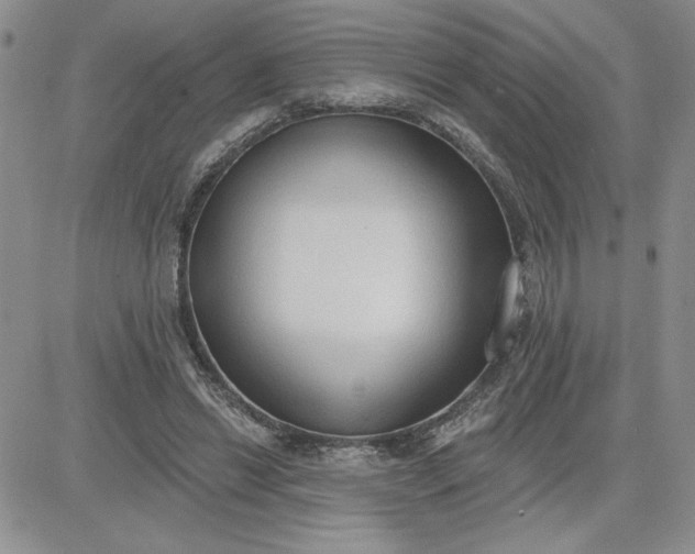 X0000081280446200701251632