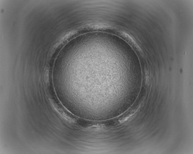 X0000081280447200701251632