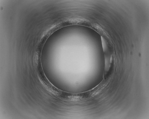 X0000081280448200701251632