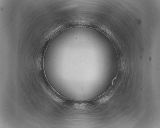 X0000081280450200701251632