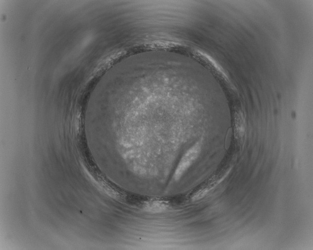 X0000081280451200701251632