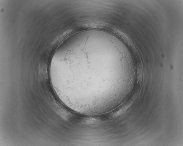 X0000081280453200701251632