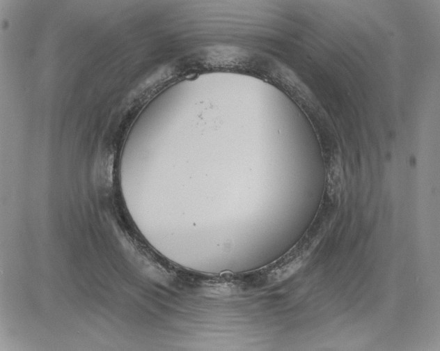 X0000081280454200701251632