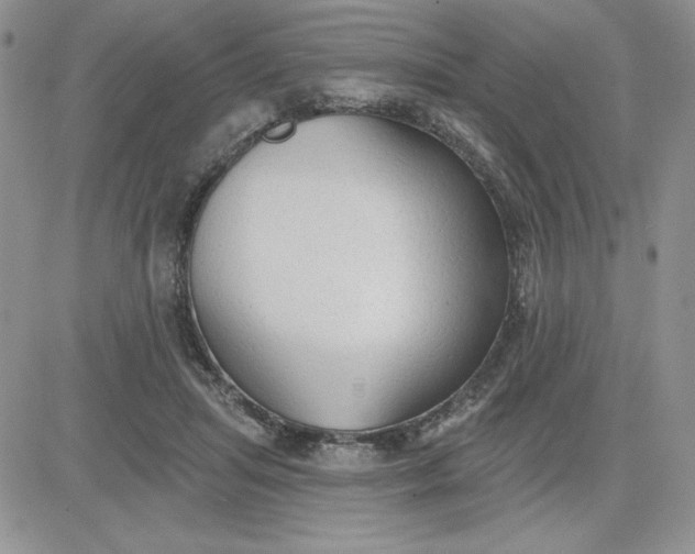 X0000081280455200701251632