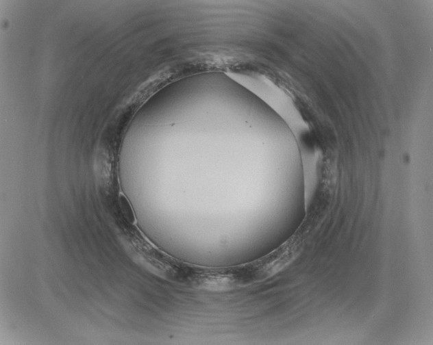 X0000081280456200701251632