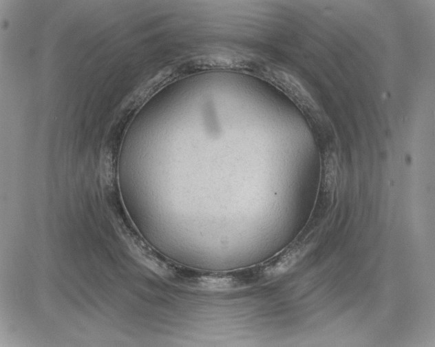 X0000081280457200701251632