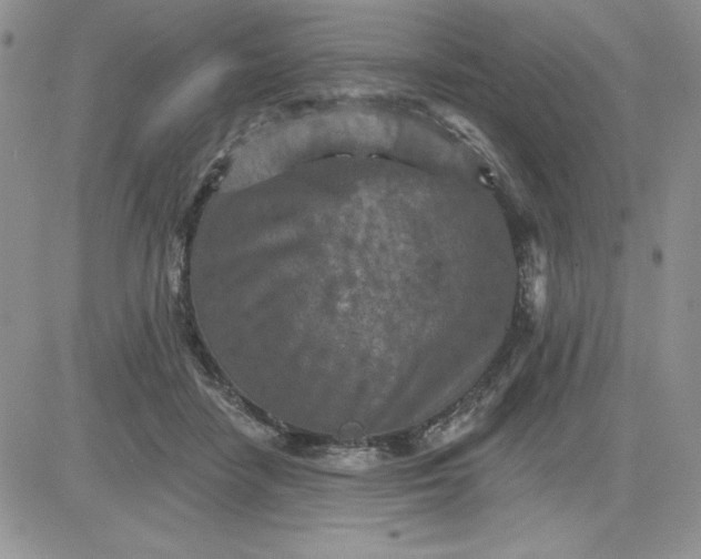 X0000081280458200701251632