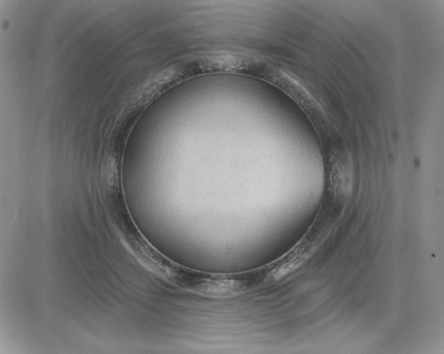 X0000081280459200701251632