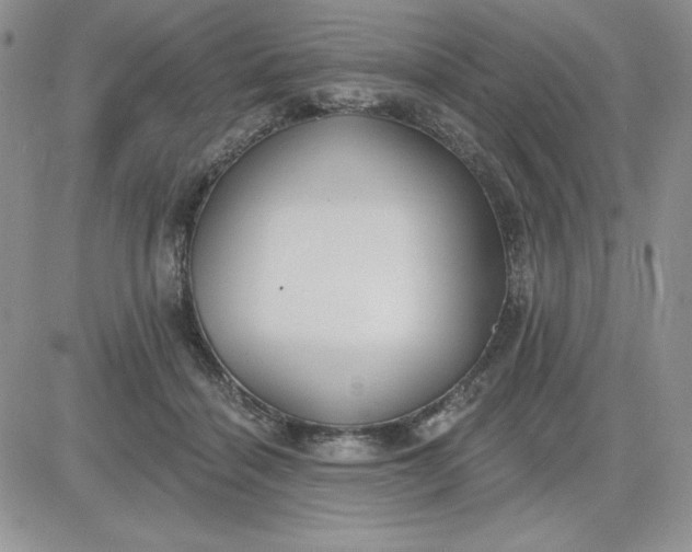 X0000081280460200701251632