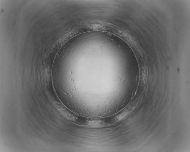 X0000081280461200701251632