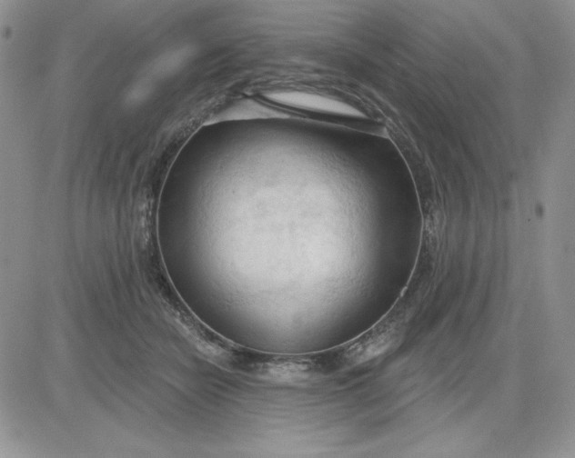 X0000081280462200701251632