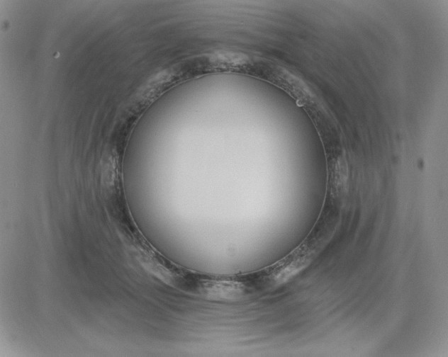 X0000081280463200701251632