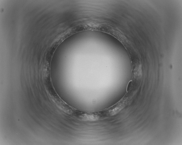 X0000081280464200701251632