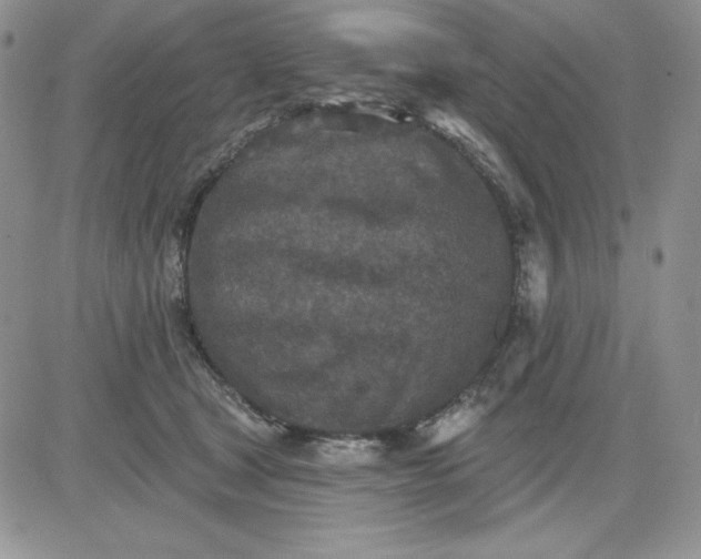 X0000081280465200701251632