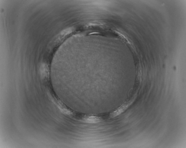 X0000081280467200701251632