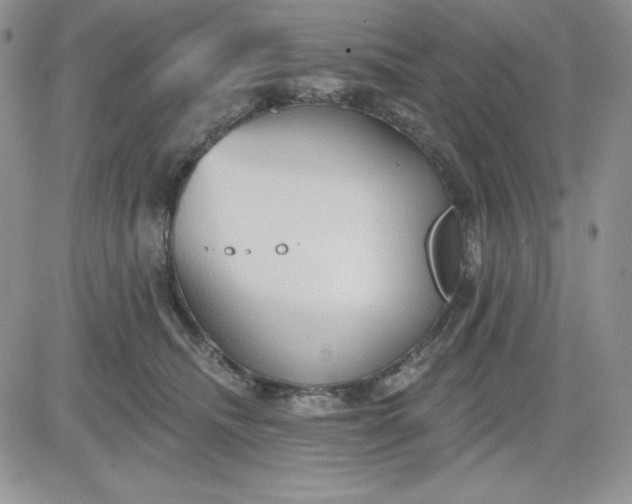 X0000081280468200701251632