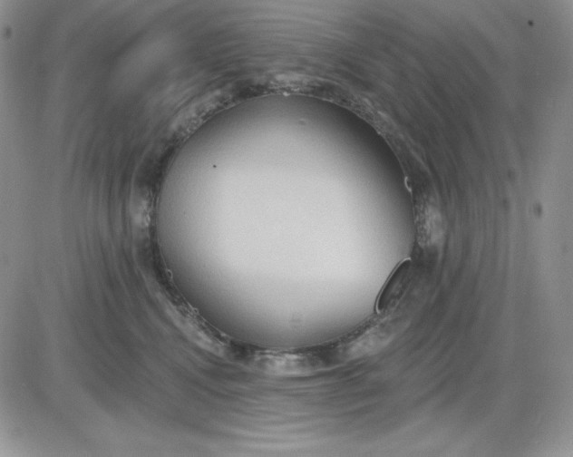 X0000081280472200701251632