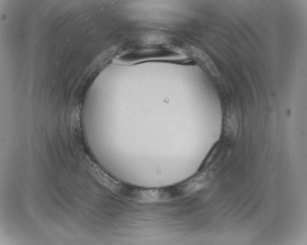 X0000081280473200701251632