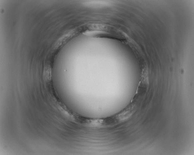 X0000081280474200701251632