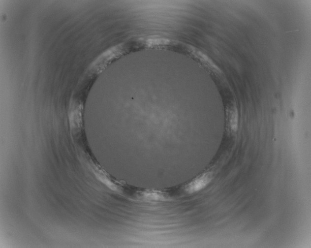 X0000081280475200701251632