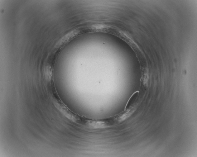 X0000081280476200701251632