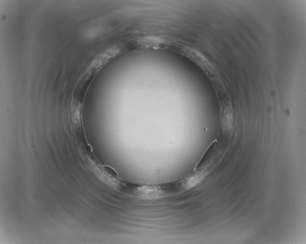 X0000081280477200701251632