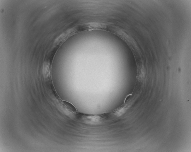 X0000081280478200701251632