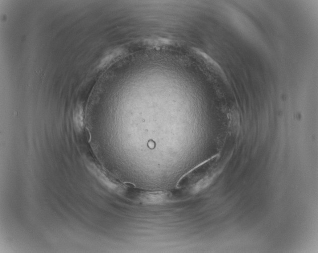 X0000081280479200701251632