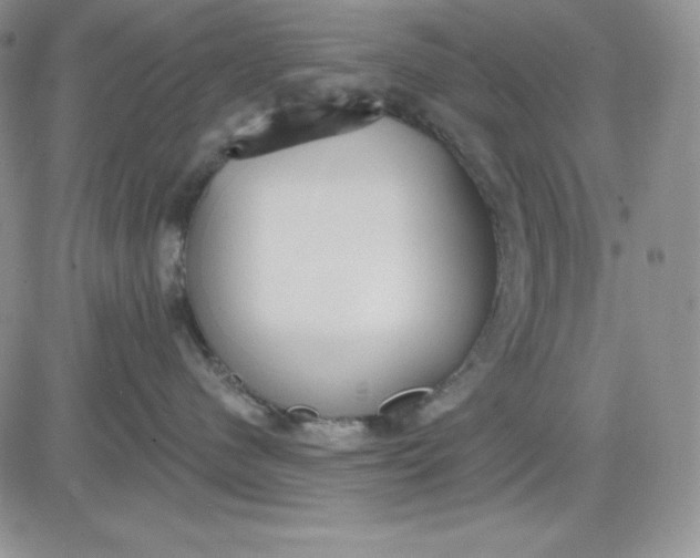 X0000081280480200701251632