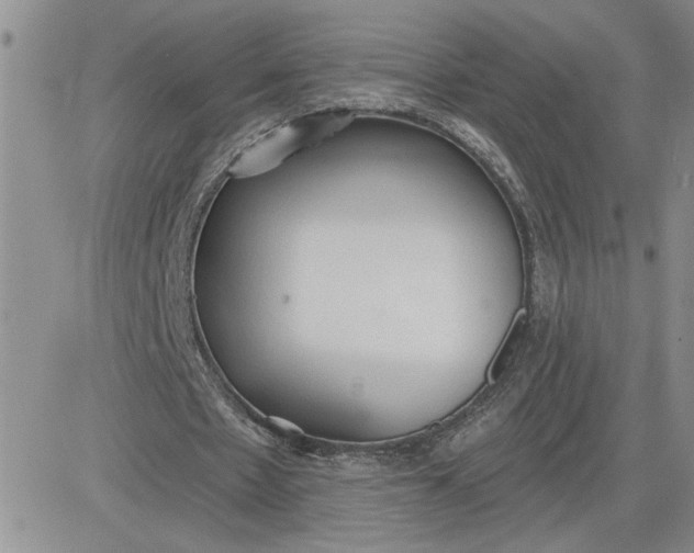 X0000081280481200701251632