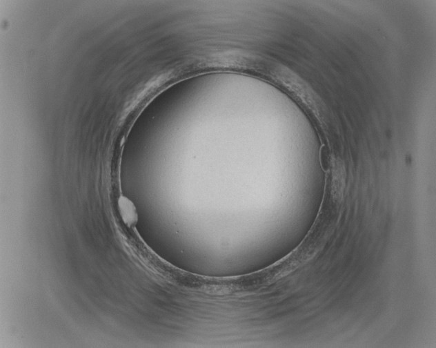 X0000081280482200701251632