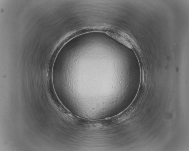 X0000081280483200701251632