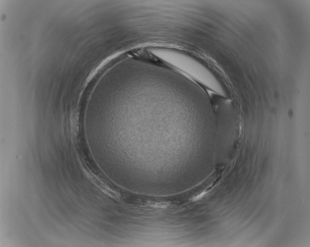 X0000081280484200701251632